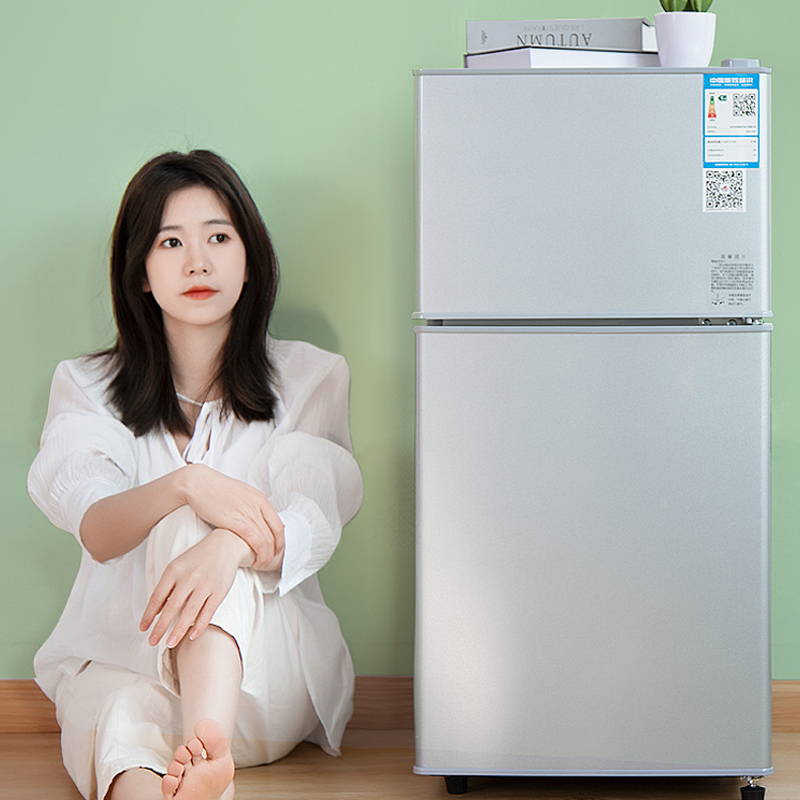 Kitchen Appliances Rental - Mini Refrigerator Home Office Double Door