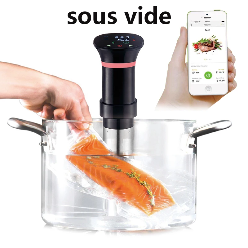 220V Sous Vide Precision Cooke - огляд і ціна Sous Vide Immersion
