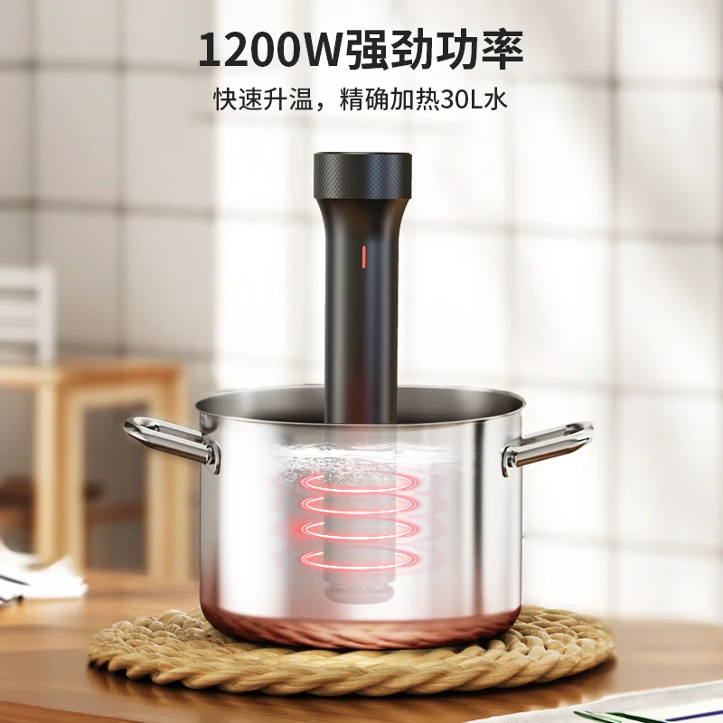 110V/220V WEVAC Sous Vide Prec - огляд і ціна Sous Vide Immersion
