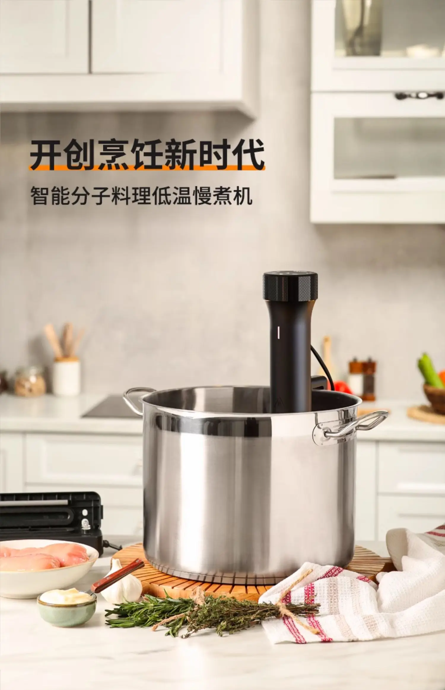 110V/220V WEVAC Sous Vide Prec - огляд і ціна Sous Vide Immersion